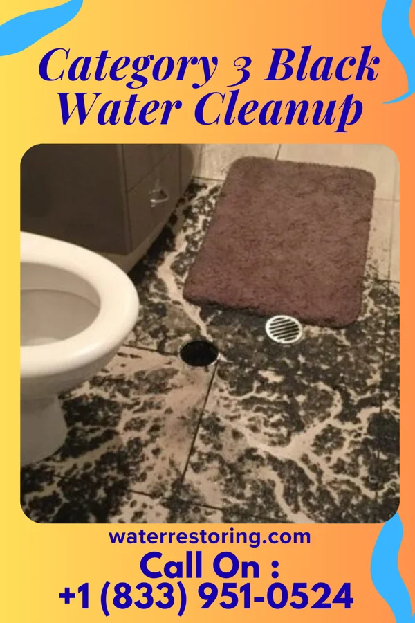 Category 3 Black Water Cleanup in Harrison, MI