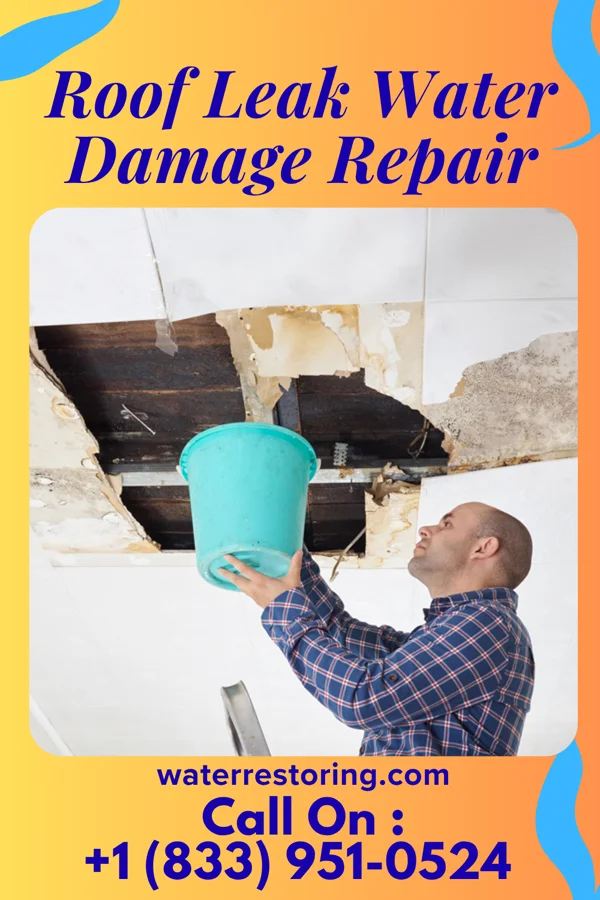 Roof Leak Water Damage Repair in Harrison, MI
